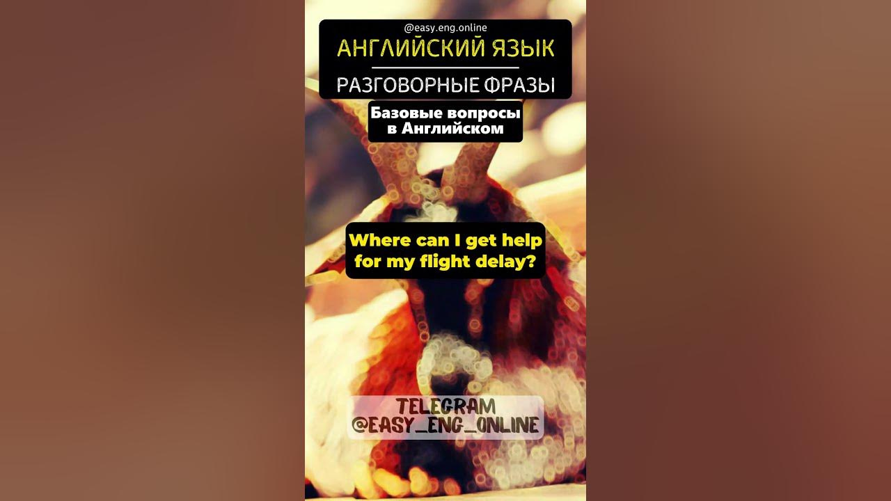 👩‍🎓🇬🇧 Разговорный английский: Фразы и диалоги для повседневного общения ...