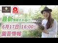 季節の花がまた増えました!水曜ライブ!