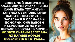 картинка: «Оборзели! Это моя квартира, а не ваша кормушка!» — жестко ответила я свекрови и золовке-халявщице.