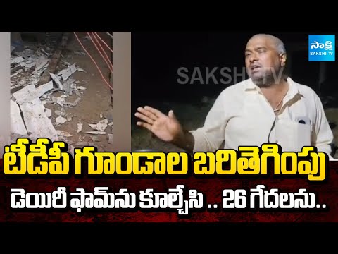 TDP Leaders Rowdyism in Mangalagiri : Forcibly Demolished Dairy Farm | @SakshiTV - SAKSHITV