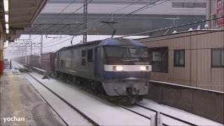 Snowfall - EF 210 Locomotive Container Freight train  大雪・コンテナ貨物列車（武蔵野線）