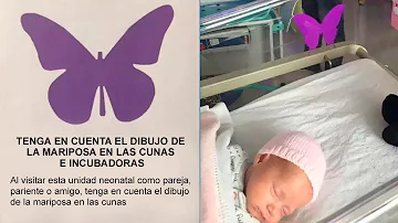 ¿Qué significa una mariposa morada en el hospital?