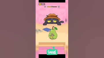 Hide And Seek Cat Escape Gameplay Level 27 Shorts Cat Escape Solution And Answer