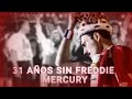 31 AÑOS SIN FREDDIE MERCURY y su CONCIERTO TRIBUTO. Joaka