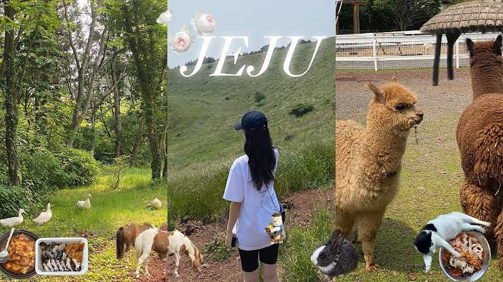 제주도 2박 3일 가족여행 | 부모님 만족도 최상 숙소, 맛집 추천 | 목장체험, 관광명소, 여행코스 등등 👒🍀