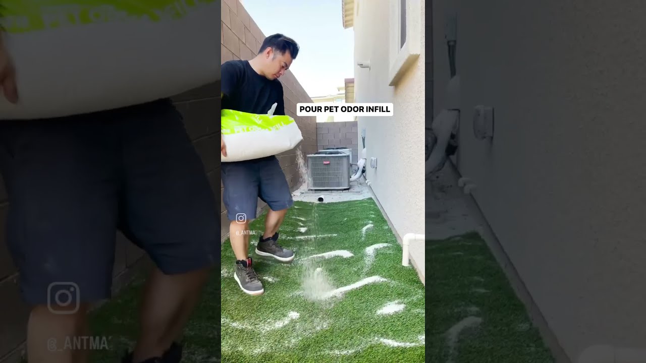 Easiest Diy For My Dog S Dirty Business