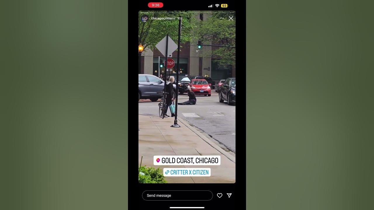 Chicago wilding shorts chicago crazy YouTube