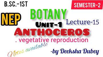 Anthoceros- vegetative reproduction #bsc1semester2botanyunit1#nepbotany#NEP#bryophyatabsc#botanybsc