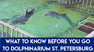 What To Know Before You Go To Dolphinarium St. Petersburg