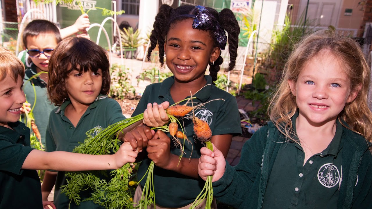 Pine Crest School Student Acceptance Video 201819 YouTube