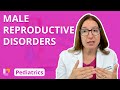 Male Reproductive Disorders Quiz