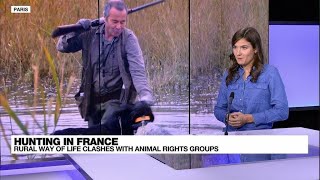 Hunting: France's divisive pastime • FRANCE 24 English