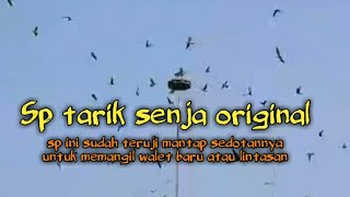 SP TARIK SENJA sp terbaik andi sufar/sufar sinar 77