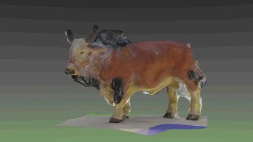 Zebu (via Autodesk 123D Catch)