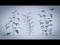 Blender 2 8 cration dune plante modulable avec les modifiers