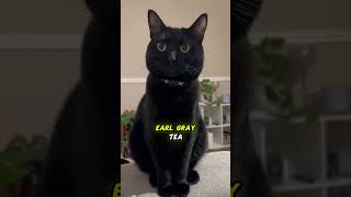 Do You Have Any Tea? Resimi