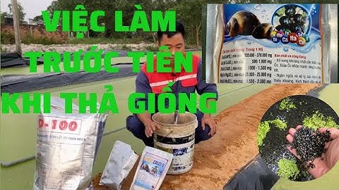 Hướng dẫn xử lý nước cho hồ mới làm và trước khi thả giống.