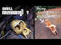 Skull Found When we are on Honey Hunt | തലയോട്ടി കിട്ടി ഗുയ്സ്