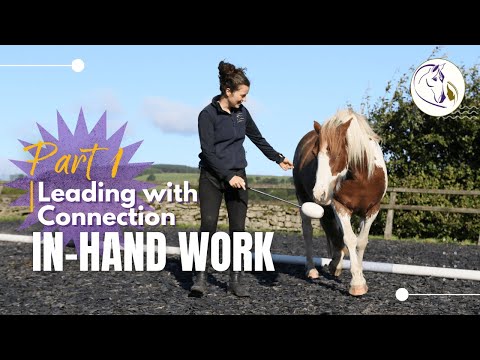 Groundwork P1: Leading with Connection using In-Hand work