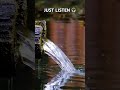 Just Listen to This 💧 Calming Water Flow for Instant Relaxation