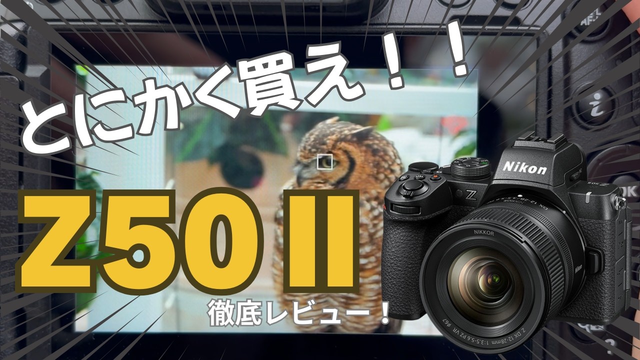 Z50IIをレビュー！これを買っとけば間違いないカメラがやってきた