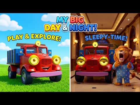 Learn Bedtime Routine & Good Manners with Didadu! 🌙🐘 Brush Teeth & Say Thank You | DIDADUTV Cartoon