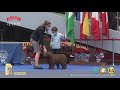 Presentadores Infantiles y Juveniles - 34 EXPOSICIÓN INTERNACIONAL CANINA – CAC - CACIB