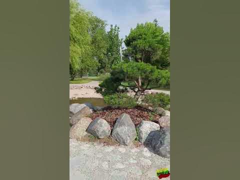 Парк Сакуры, Клайпеда. Sakurų parkas, Klaipėda #klaipeda #lietuva - YouTube