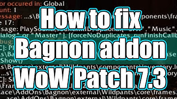 WoW Patch 7.3 Bagnon Addon Fix (Bagnon won