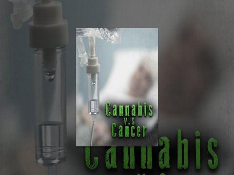 Cannabis v.s Cancer