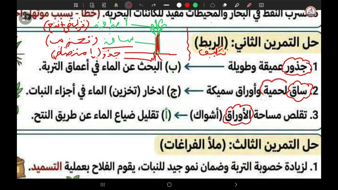 الحل النموذجي لاقوى نموذج لاختبار الفصل الثاني التربية العلمية السنة الخامسة ابتدائي  / أضخم مراجعة 