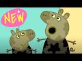 Peppa Pig - Muddy Puddles 🐷 Peppa Pig Full Episodes ☔ Let's Get Muddy! ⭐ Super Toons Kids TV