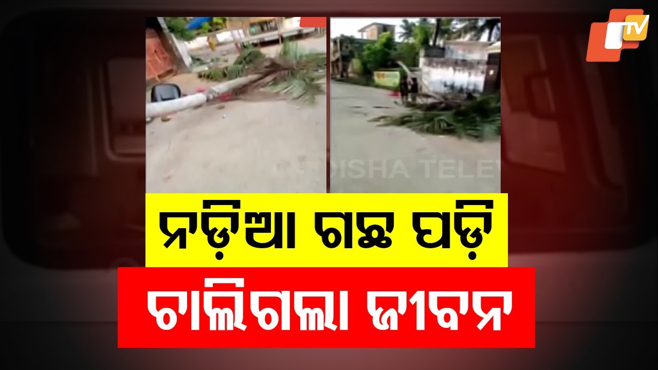 Tragedy Strikes Ramleela in Balarampur: Tree Collapse Kills One