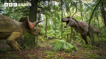 Greatest Standoff: T.rex vs Triceratops | Walking with Dinosaurs | BBC Earth