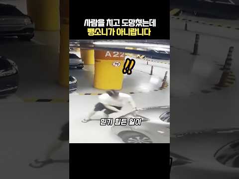 운전자와 눈까지 마주쳤는데 그대로 도망쳤습니다 thumbnail