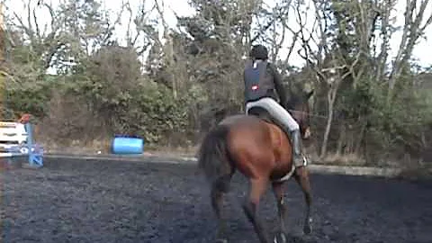 Leo's First Clear Round 2012_02_19_19_49_30.mp4