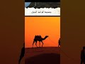 صلى عليك الله ياعالم الهدى ماهبت النسائم وما ناحت على الايك الحمائم الشيخ كشك رحمه الله