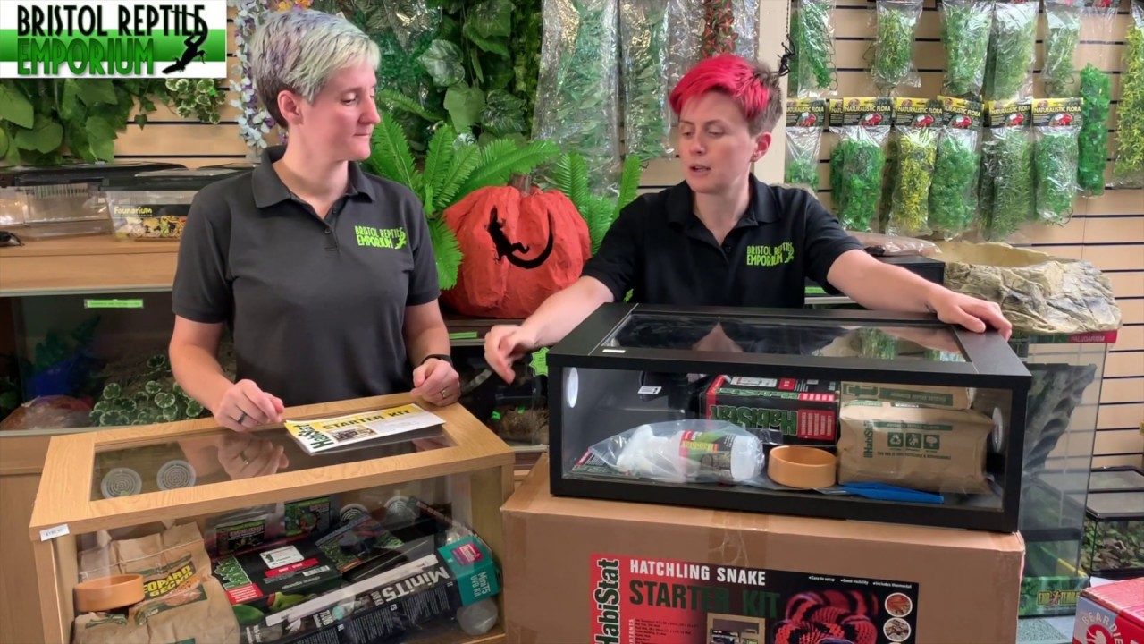 Reptile Starter Kit - YouTube