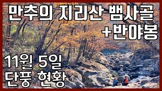 지리산 뱀사골 계곡 트래킹/등산 가이드 | 뱀사골계곡-반야봉