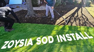 How to install SOD Zoysia Zeon