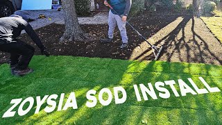 How to install SOD Zoysia Zeon