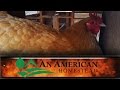 AMAZING Chicken Coop TOUR - OFF GRID LIVING