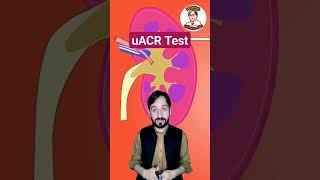 Uacr Test And Calculation