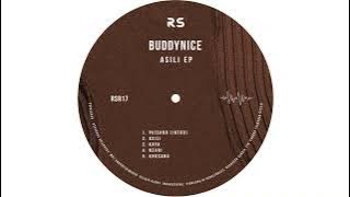 Buddynice - Kaya