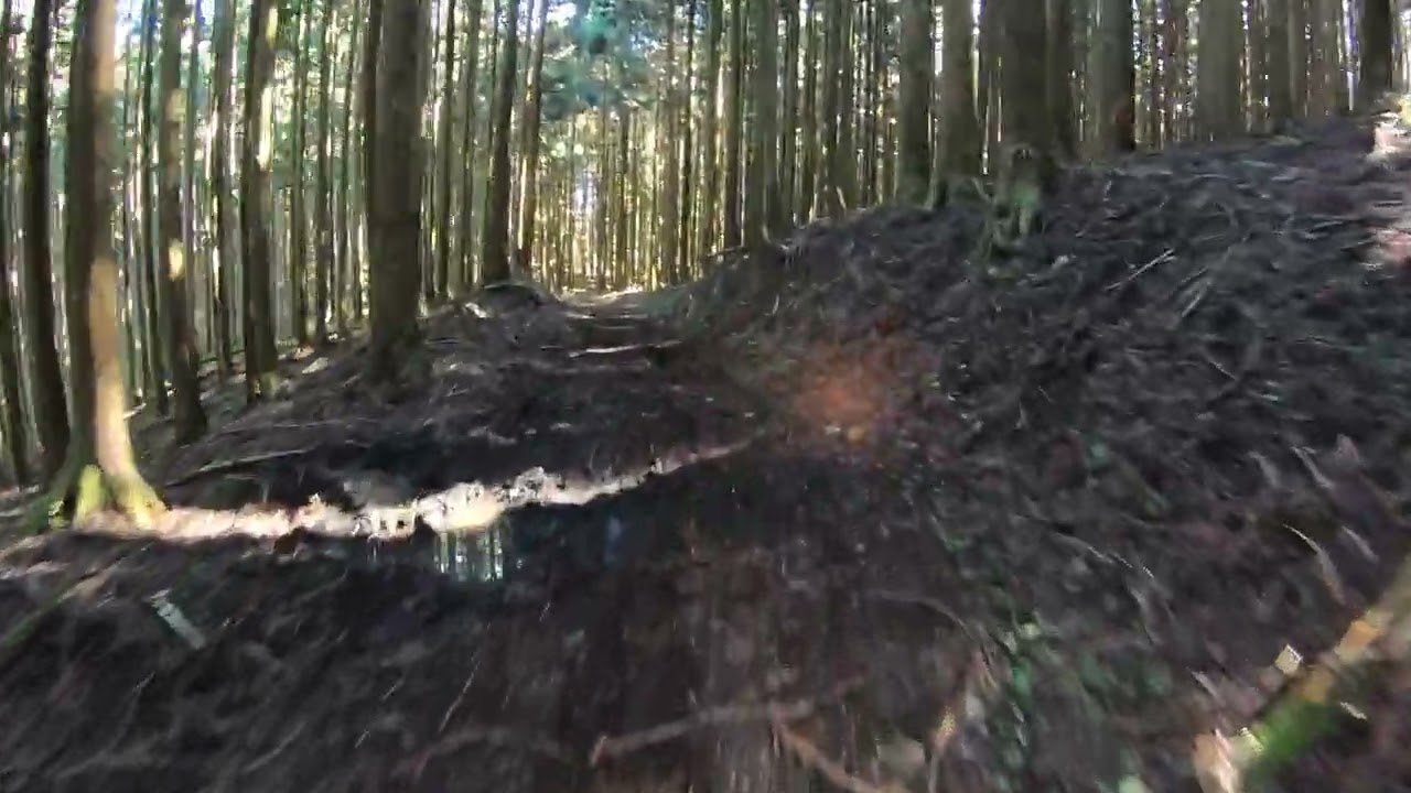 【生石・遠井周辺　探索】⑤　アバルト林道２