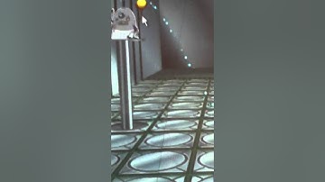 Bin weevils sws training