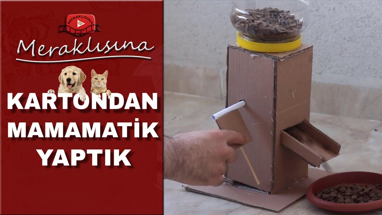 Kedi Ve Kopekler Icin Mamamatik Yaptik Kartondan Mama Sebili Youtube