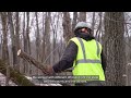 FEMA Partnership Success Story: U.S. Forest Service Clears the Way