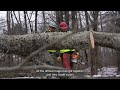 FEMA Partnership Success Story: U.S. Forest Service Clears the Way