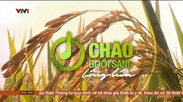 [Chào Buổi Sáng Mới] VTV1 - Hình hiệu Chào Buổi Sáng Bông lúa.